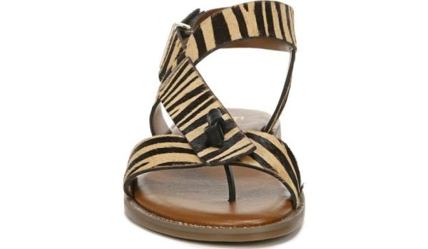 Sunpace.shopfb91f94b31 4